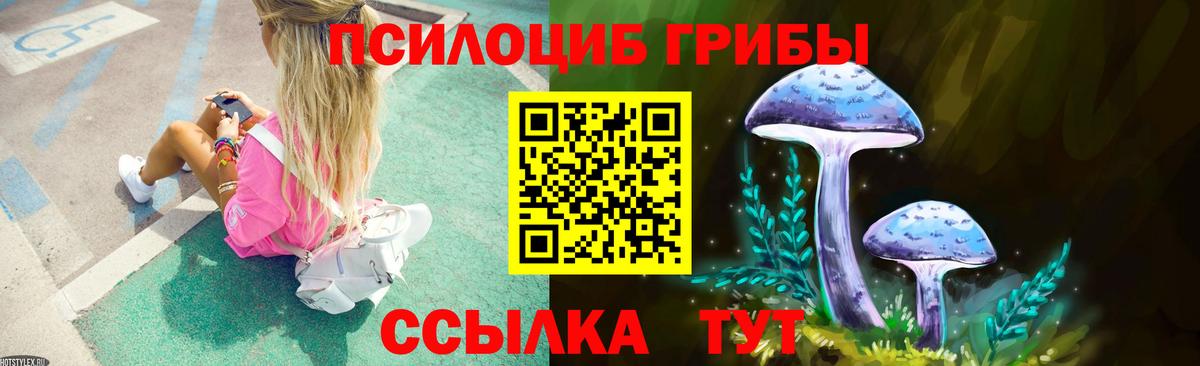 Псилоцибиновые грибы GOLDEN TEACHER Шахты